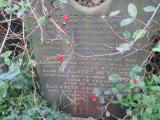 image of grave number 736953